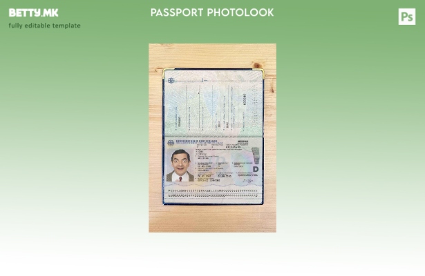 Модерен стил Германски пасош (сегашен) шаблон за изглед на фотографија